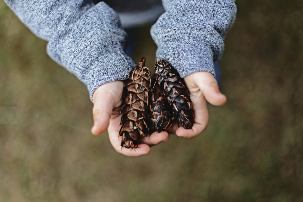 raccolta fondi associazione anima mundi aps